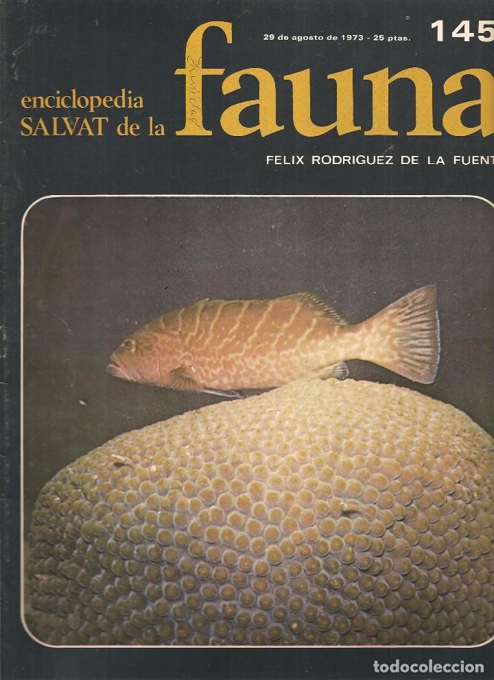 Coleccionismo de revistas y peri&oacute;dicos: ENCICLOPEDIA SALVAT DE LA FAUNA. F&Eacute;LIX RODR&Iacute;GUEZ DE LA FUENTE. FASCICULO N&ordm; 145. (P/B75)