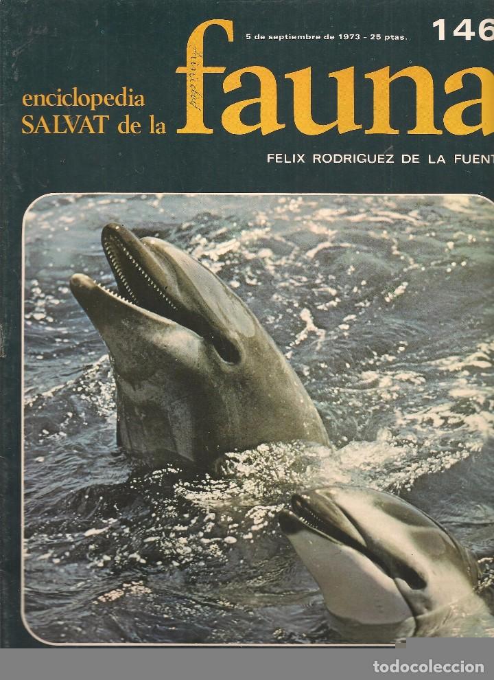 Coleccionismo de revistas y peri&oacute;dicos: ENCICLOPEDIA SALVAT DE LA FAUNA. F&Eacute;LIX RODR&Iacute;GUEZ DE LA FUENTE. FASCICULO N&ordm; 146. (P/B75)