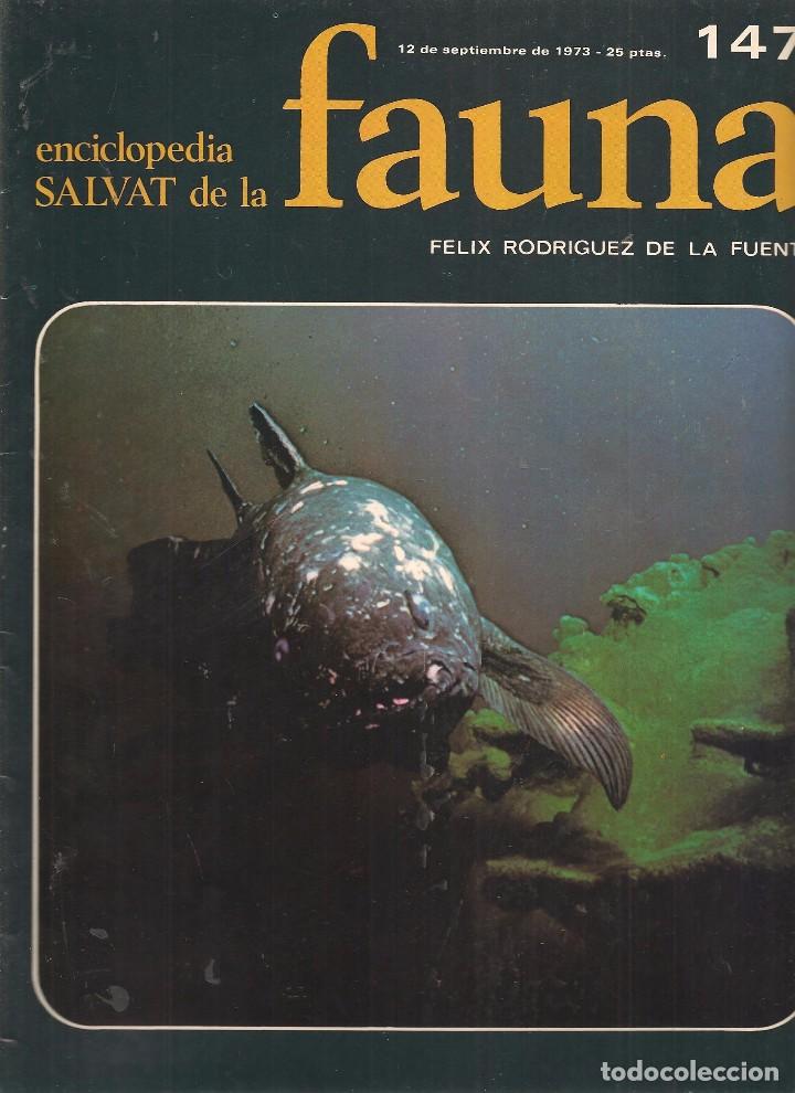 Coleccionismo de revistas y peri&oacute;dicos: ENCICLOPEDIA SALVAT DE LA FAUNA. F&Eacute;LIX RODR&Iacute;GUEZ DE LA FUENTE. FASCICULO N&ordm; 147. (P/B75)