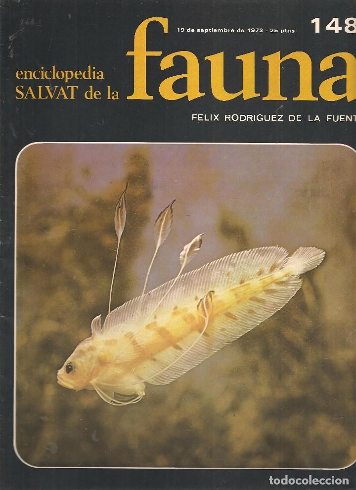 Coleccionismo de revistas y peri&oacute;dicos: ENCICLOPEDIA SALVAT DE LA FAUNA. F&Eacute;LIX RODR&Iacute;GUEZ DE LA FUENTE. FASCICULO N&ordm; 148. (P/B75)
