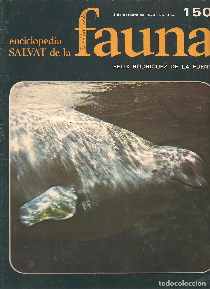 Coleccionismo de revistas y peri&oacute;dicos: ENCICLOPEDIA SALVAT DE LA FAUNA. F&Eacute;LIX RODR&Iacute;GUEZ DE LA FUENTE. FASCICULO N&ordm; 150. (P/B75)