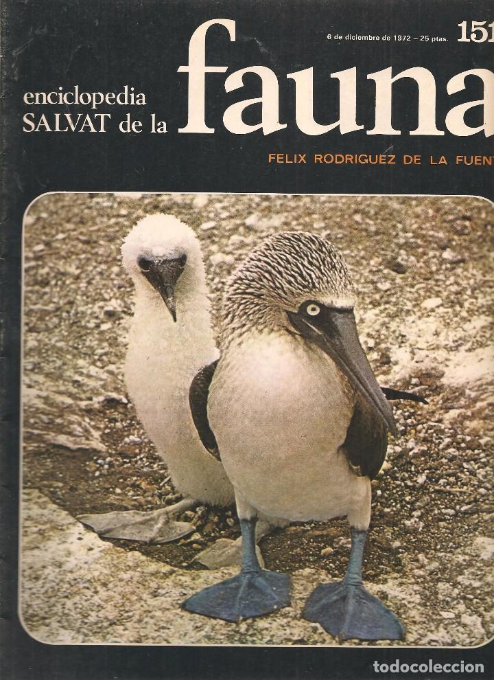 Coleccionismo de revistas y peri&oacute;dicos: ENCICLOPEDIA SALVAT DE LA FAUNA. F&Eacute;LIX RODR&Iacute;GUEZ DE LA FUENTE. FASCICULO N&ordm; 151. (P/B75)