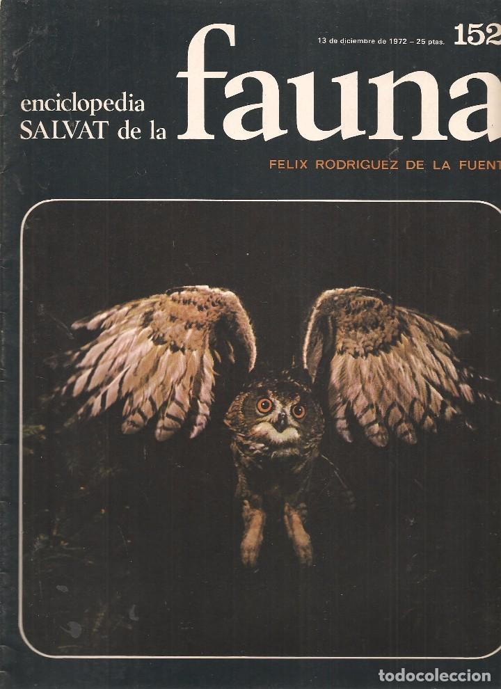 Coleccionismo de revistas y peri&oacute;dicos: ENCICLOPEDIA SALVAT DE LA FAUNA. F&Eacute;LIX RODR&Iacute;GUEZ DE LA FUENTE. FASCICULO N&ordm; 152. (P/B75)