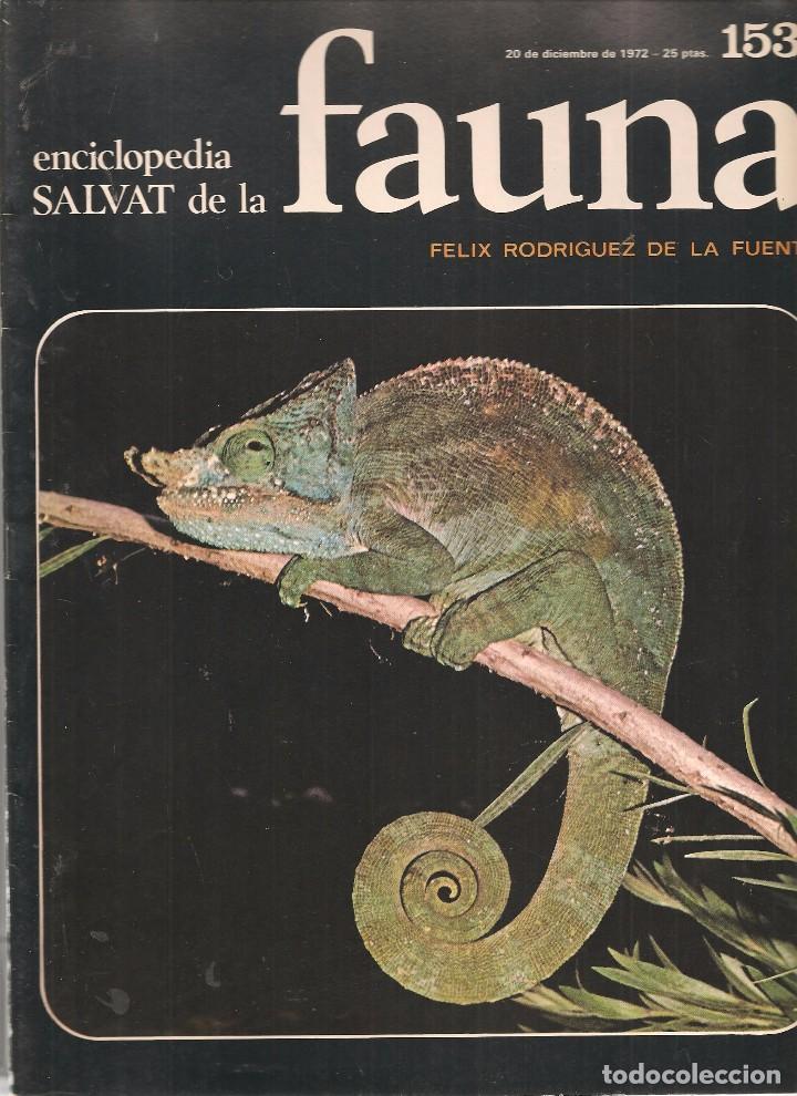 Coleccionismo de revistas y peri&oacute;dicos: ENCICLOPEDIA SALVAT DE LA FAUNA. F&Eacute;LIX RODR&Iacute;GUEZ DE LA FUENTE. FASCICULO N&ordm; 153. (P/B75)