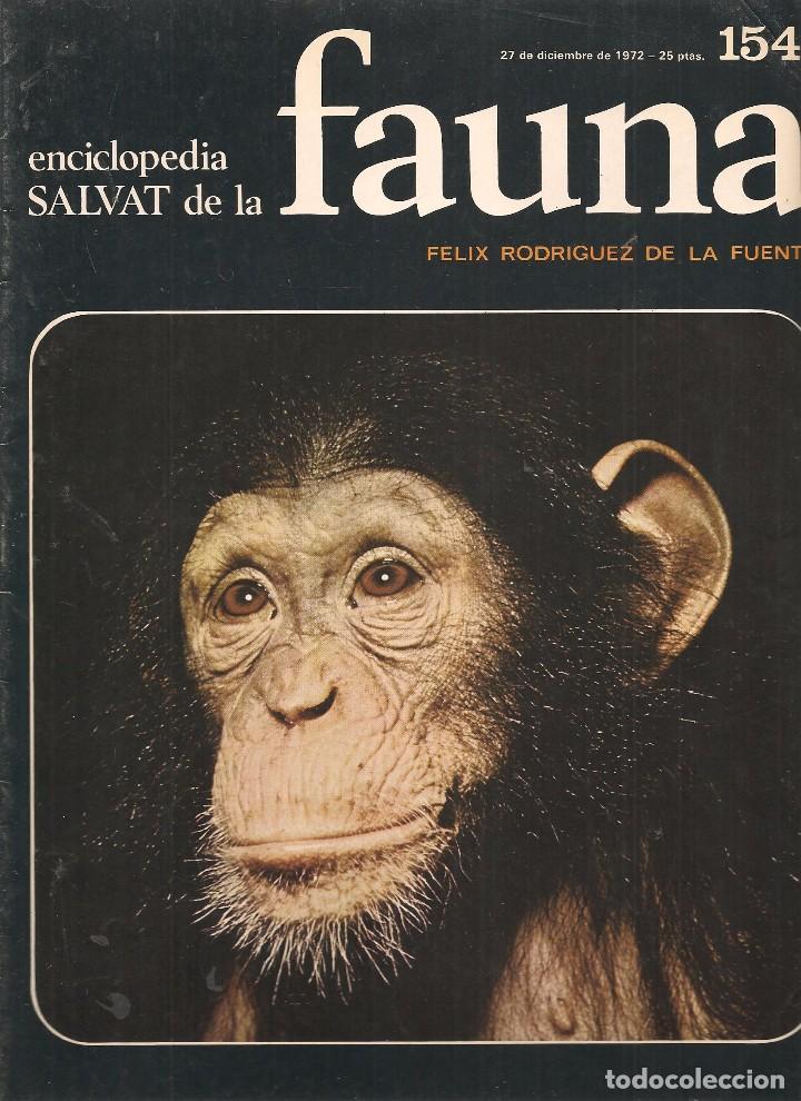 Coleccionismo de revistas y peri&oacute;dicos: ENCICLOPEDIA SALVAT DE LA FAUNA. F&Eacute;LIX RODR&Iacute;GUEZ DE LA FUENTE. FASCICULO N&ordm; 154. (P/B75)