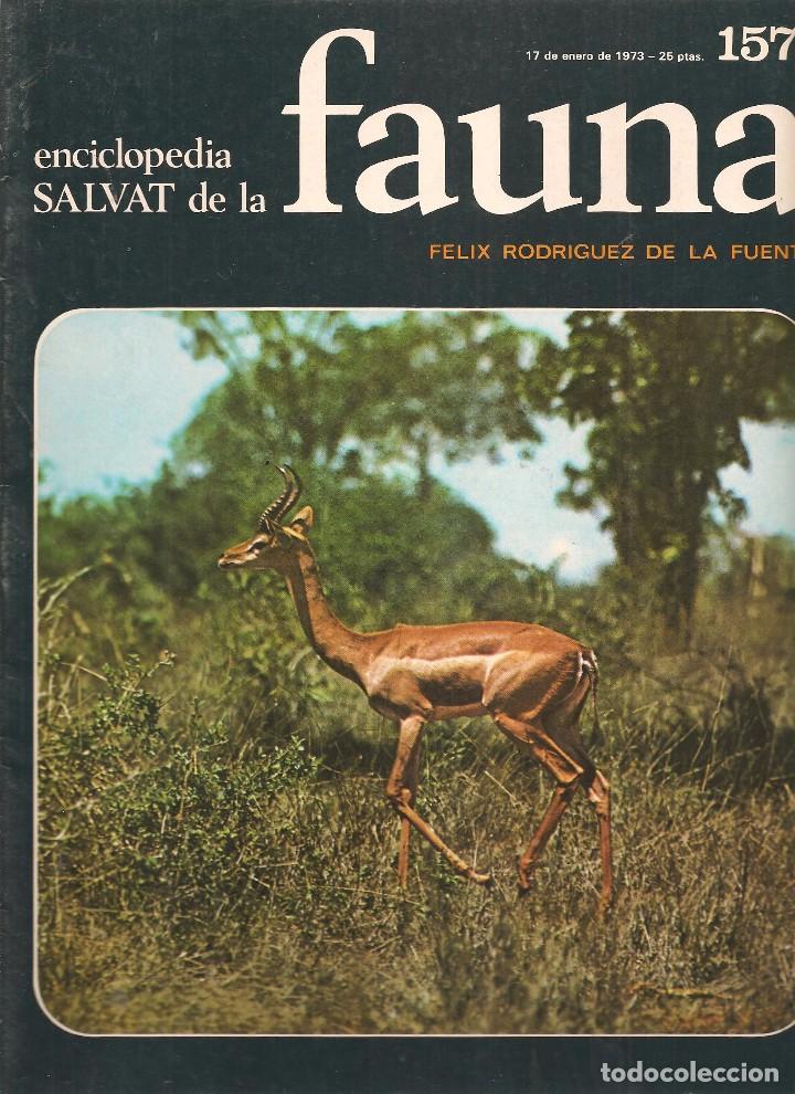 Coleccionismo de revistas y peri&oacute;dicos: ENCICLOPEDIA SALVAT DE LA FAUNA. F&Eacute;LIX RODR&Iacute;GUEZ DE LA FUENTE. FASCICULO N&ordm; 157. (P/B75)