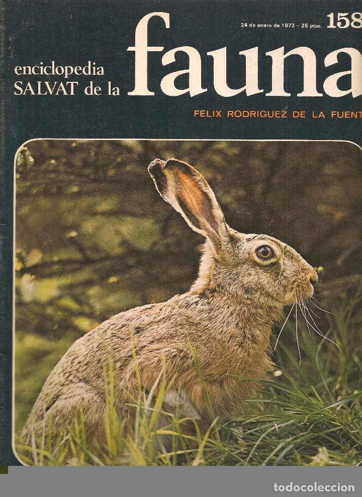 Coleccionismo de revistas y peri&oacute;dicos: ENCICLOPEDIA SALVAT DE LA FAUNA. F&Eacute;LIX RODR&Iacute;GUEZ DE LA FUENTE. FASCICULO N&ordm; 158. (P/B75)