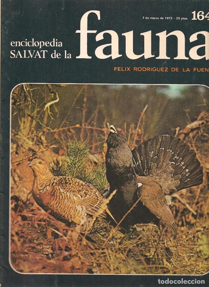 Coleccionismo de revistas y peri&oacute;dicos: ENCICLOPEDIA SALVAT DE LA FAUNA. F&Eacute;LIX RODR&Iacute;GUEZ DE LA FUENTE. FASCICULO N&ordm; 164. (P/B75)