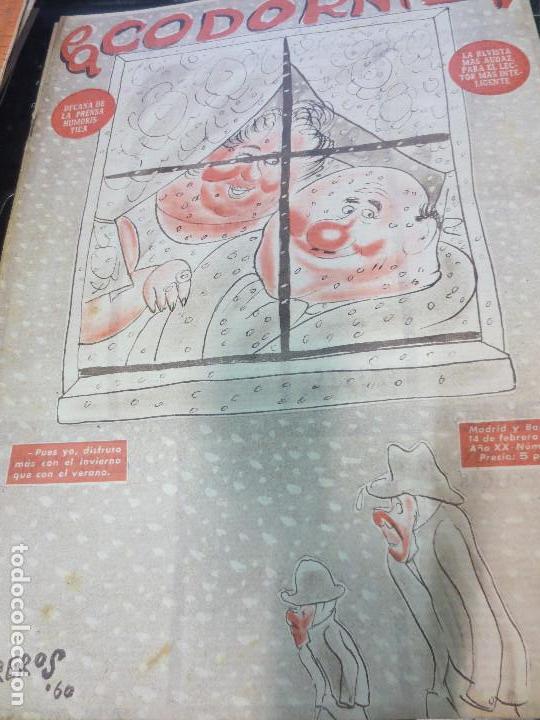 Coleccionismo de Revistas y Peri&oacute;dicos: REVISTA LA CODORNIZ N&ordm; 952  A&Ntilde;O XX 14 DEFEBRERO 1960