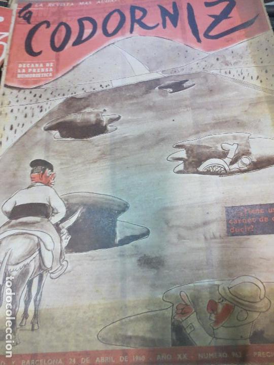 Coleccionismo de Revistas y Peri&oacute;dicos: REVISTA LA CODORNIZ N&ordm; 962  A&Ntilde;O XX 24 DE ABRIL 1960