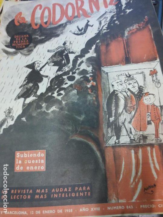 Coleccionismo de Revistas y Peri&oacute;dicos: REVISTA LA CODORNIZ N&ordm; 843  A&Ntilde;O XVIII 12 DE ENERO 1958