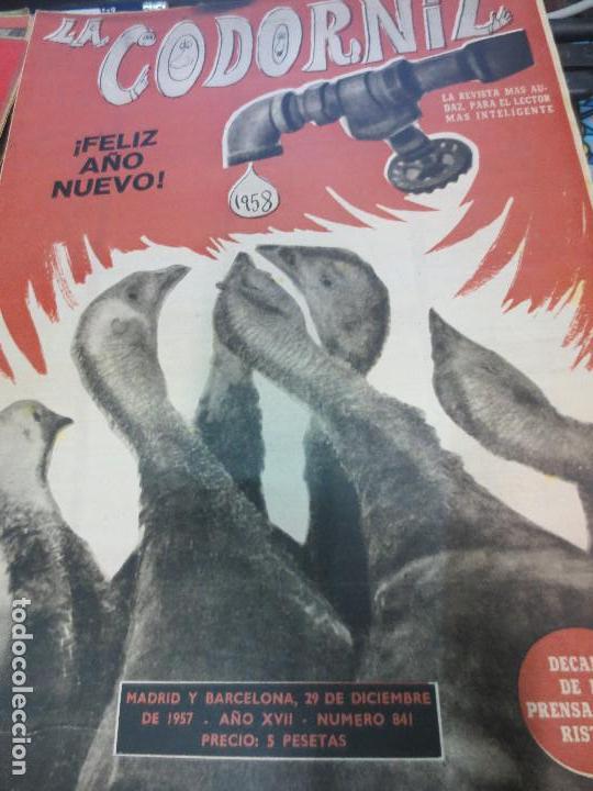 Coleccionismo de Revistas y Peri&oacute;dicos: REVISTA LA CODORNIZ N&ordm; 841  A&Ntilde;O XVII 29 DEDICIEMBRE 1957