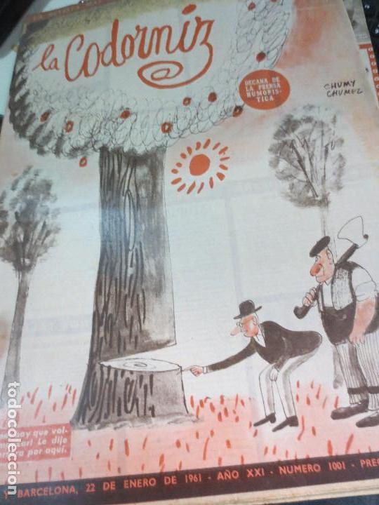 Coleccionismo de Revistas y Peri&oacute;dicos: REVISTA LA CODORNIZ N&ordm; 1001 22 DE ENERO  DE 1961 A&Ntilde;O XXI