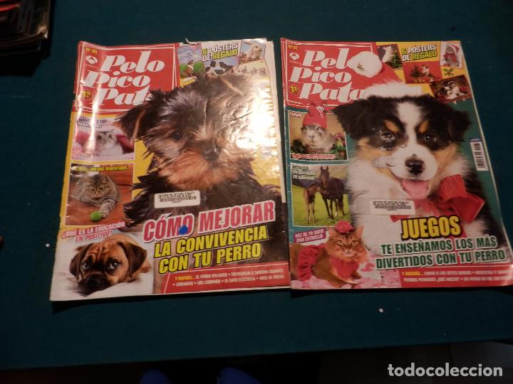 Lote De 22 Revistas Perros And Compañia Pelo Comprar Otras Revistas Y Periódicos Modernos