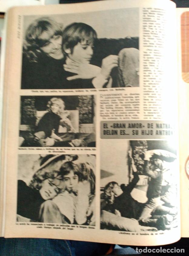 Collectionnisme de Revues et Journaux: RECORTE NATHALIE DELON ANTHONY