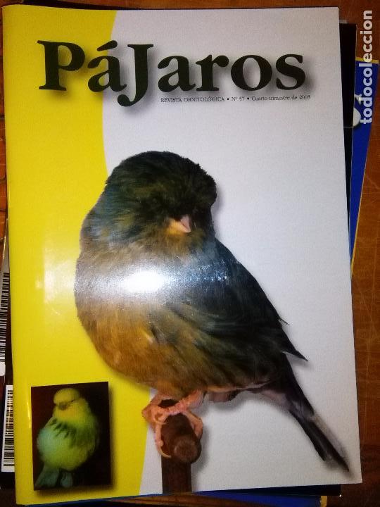 Coleccionismo de revistas y peri&oacute;dicos: REVISTA FASC&Iacute;CULO ORNITOLOGICA P&Aacute;JAROS N 57