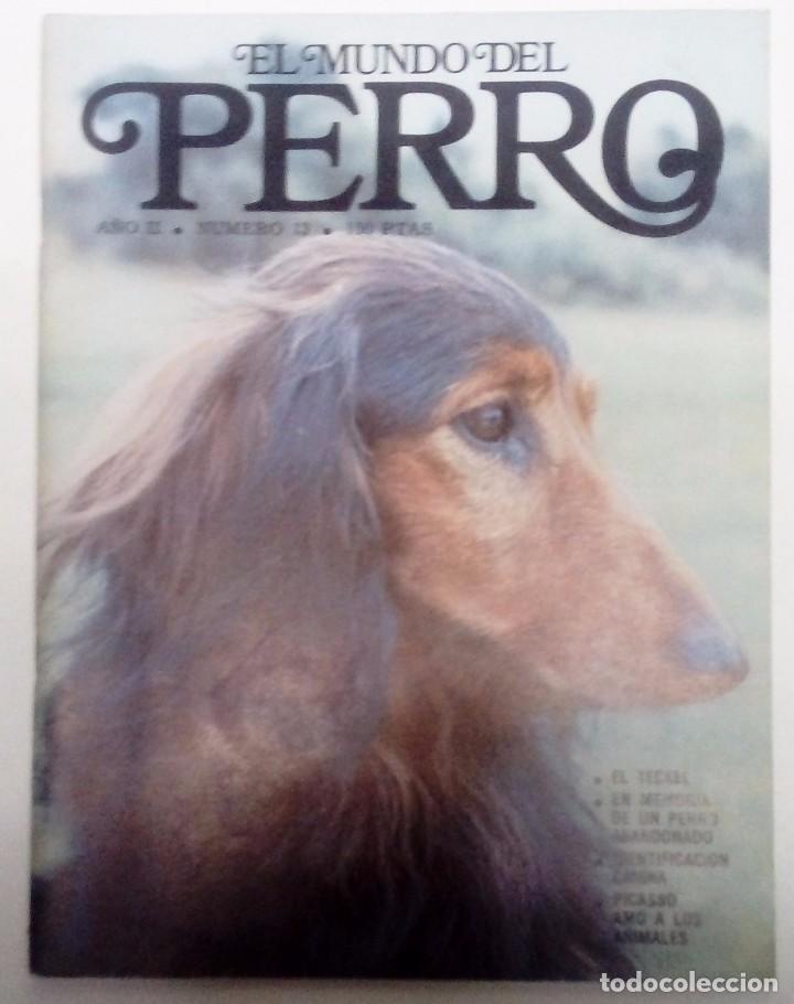 Coleccionismo de Revistas y Peri&oacute;dicos: EL MUNDO DEL PERRO N&ordm; 13(1981) PICASSO AM&Oacute; A LOS ANIMALES-CRIANZA-QUISTE HIDAT&Iacute;DICO-TECKEL-MONTER&Iacute;AS