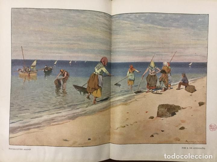 Coleccionismo de revistas y peri&oacute;dicos: RECOGIENDO ALGAS.LAMINA A&Ntilde;O 1906. POR S.AVENDA&Ntilde;O