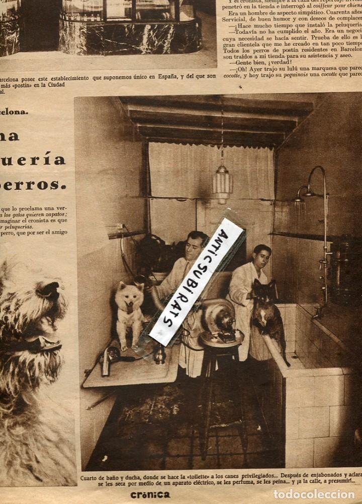 Coleccionismo de revistas y peri&oacute;dicos: REVISTA 1931 PELUQUERIA PARA PERROS PRIMER CAMPEONATO INFANTIL CICLISTA DE MADRID CICLISMO