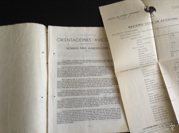 Sammeln von Zeitschriften und Zeitungen: Orientaciones av&iacute;colas Laboratorios Espa&ntilde;oles Zeltia Avicultura