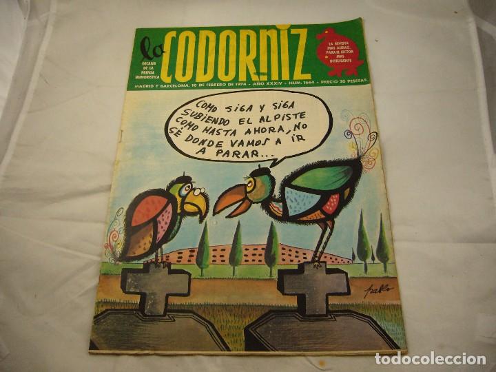 Coleccionismo de Revistas y Peri&oacute;dicos: REVISTA LA CODORNIZ N&ordm; 1664 10 DE FEBRERO 1974