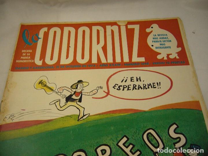 Coleccionismo de Revistas y Peri&oacute;dicos: REVISTA LA CODORNIZ N&ordm; 1648 21 DE OCTUBRE 1973