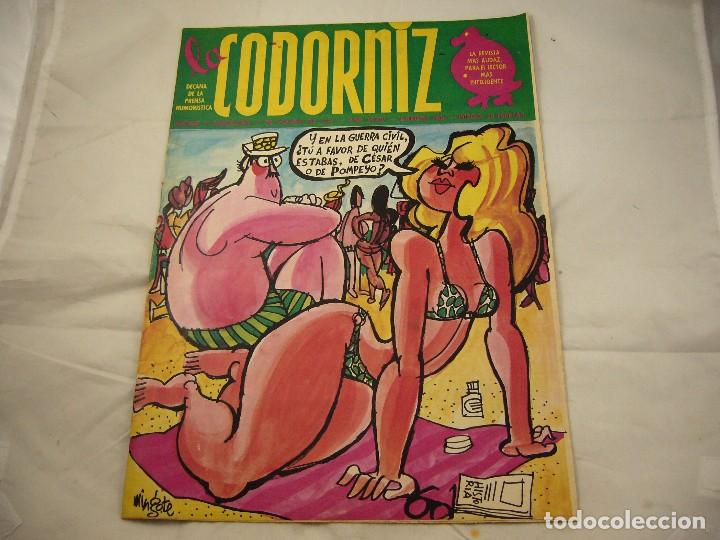 Coleccionismo de Revistas y Peri&oacute;dicos: REVISTA LA CODORNIZ N&ordm; 1689  4 DE AGOSTO 1974