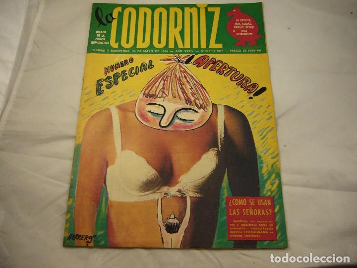 Coleccionismo de Revistas y Peri&oacute;dicos: REVISTA LA CODORNIZ N&ordm; 1679 26 DE MAYO 1974