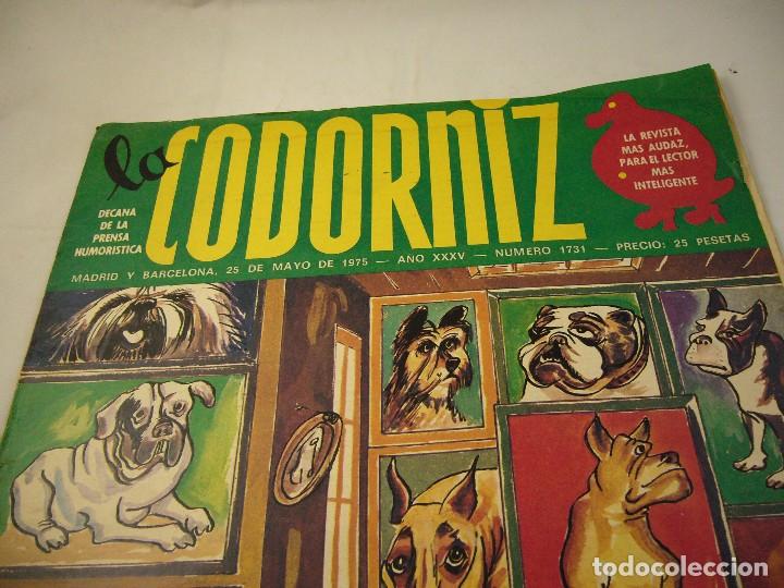 Coleccionismo de Revistas y Peri&oacute;dicos: LA CODORNIZ. N&ordm; 1731. 25 MAYO 1975