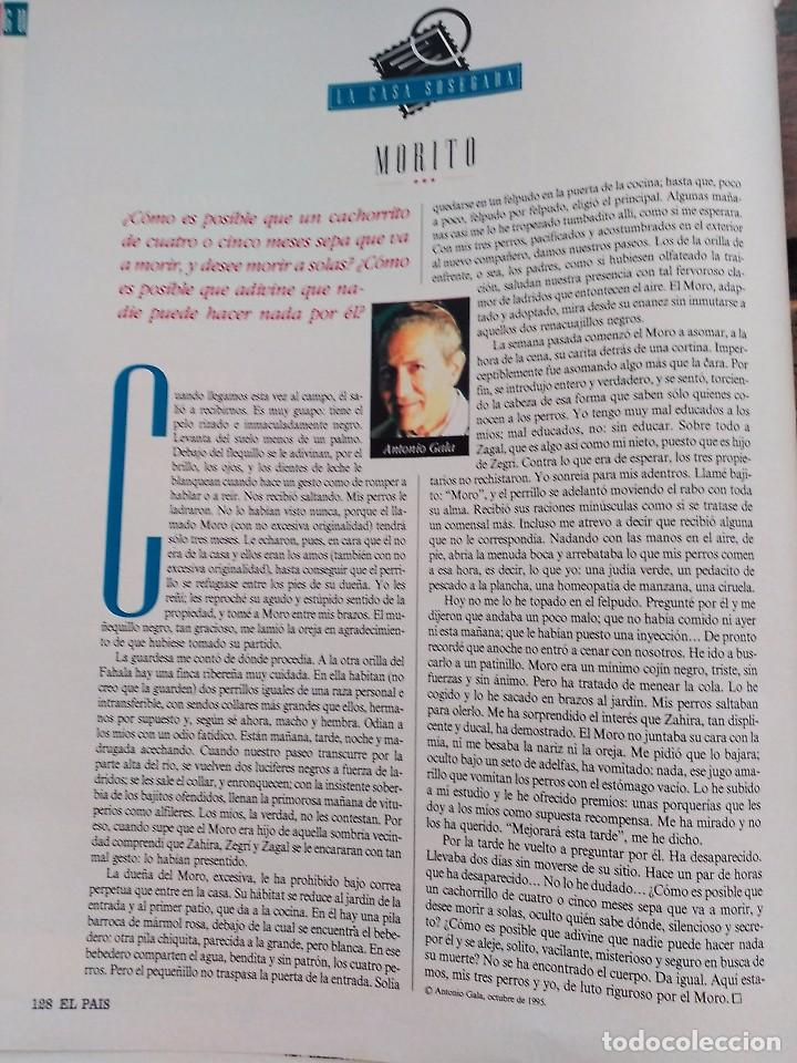 Coleccionismo de Revistas y Peri&oacute;dicos: MORITO ANTONIO GALA