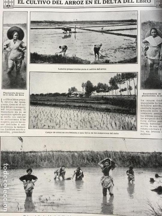 Colecionismo de Revistas e Jornais: EL CULTIVO DE ARROZ EN EL DELTA DEL EBRO LA CAT&Aacute;STROFE DE ORENSE CORREOS REVISTA A&Ntilde;O 1915