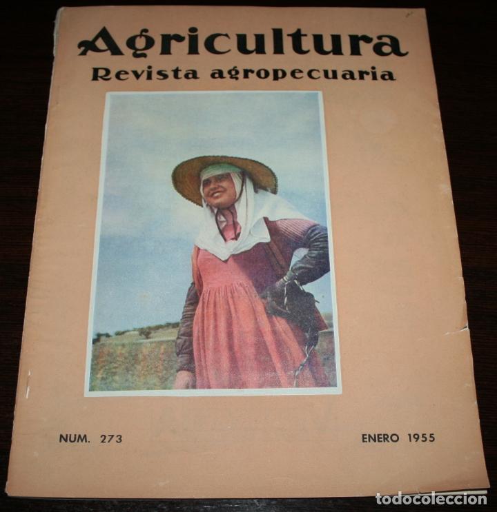 Coleccionismo de revistas y peri&oacute;dicos: REVISTA AGRICULTURA, REVISTA AGROPECUARIA - N&ordm; 273 - ENERO 1955