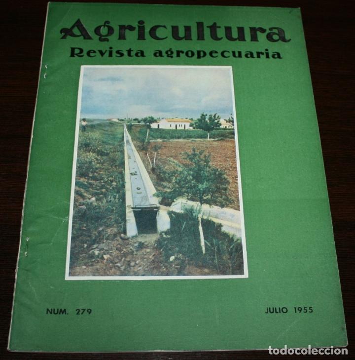 Coleccionismo de revistas y peri&oacute;dicos: REVISTA AGRICULTURA, REVISTA AGROPECUARIA - N&ordm; 279 - JULIO 1955