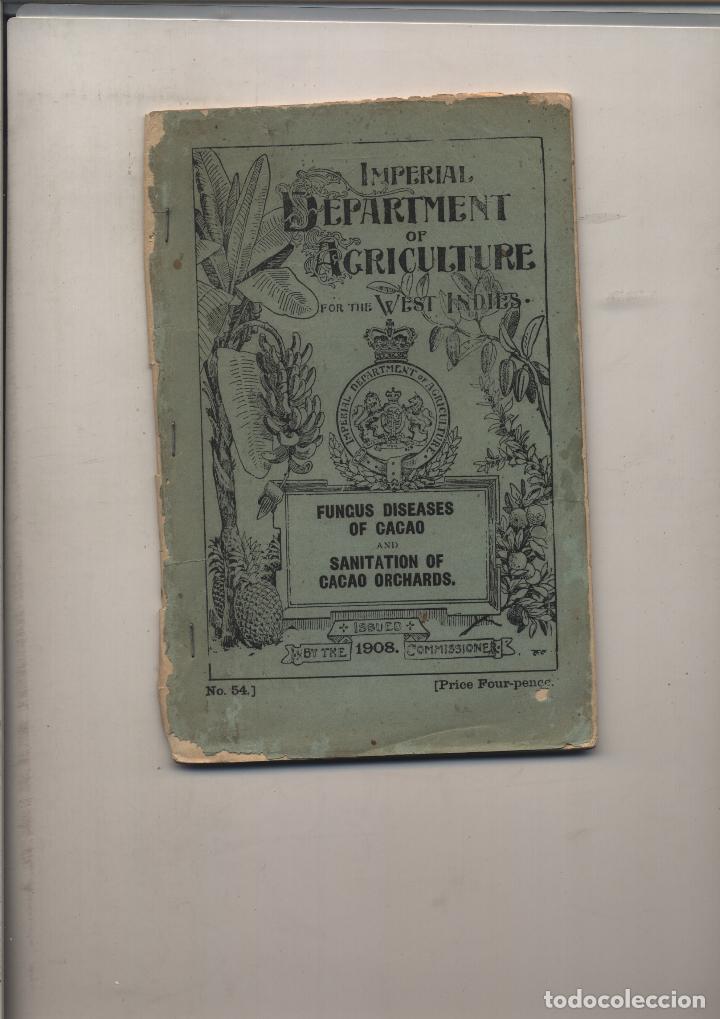 Coleccionismo de revistas y peri&oacute;dicos: IMPERIAL DEPARTMENT OF AGRICULTURE FOR THE WEST INDIES FUNGUS DISEASES OF CACAO SANITATION OF CACAO