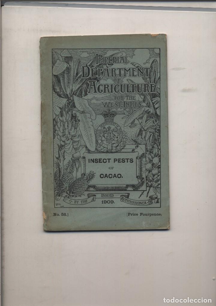 Coleccionismo de revistas y peri&oacute;dicos: IMPERIAL DEPARTMENT OF AGRICULTURE FOR THE WEST INDIES INSECTS PESTS OF CACAO  N&ordm; 54  H. A. BALLOU 1