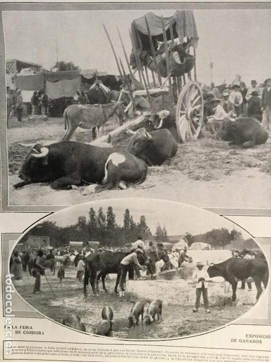 Collezionismo di Riviste e Giornali: FERIA DE C&Oacute;RDOBA EXPOSICI&Oacute;N GANADO .REVISTA A&Ntilde;O 1915
