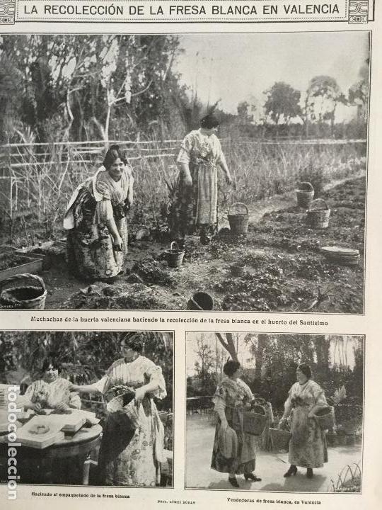 Collezionismo di Riviste e Giornali: LA RECOLECCI&Oacute;N DE LA FRESA BLANCA EN VALENCIA .HUERTA DE SANT&Iacute;SIMO REVISTA A&Ntilde;O 1915