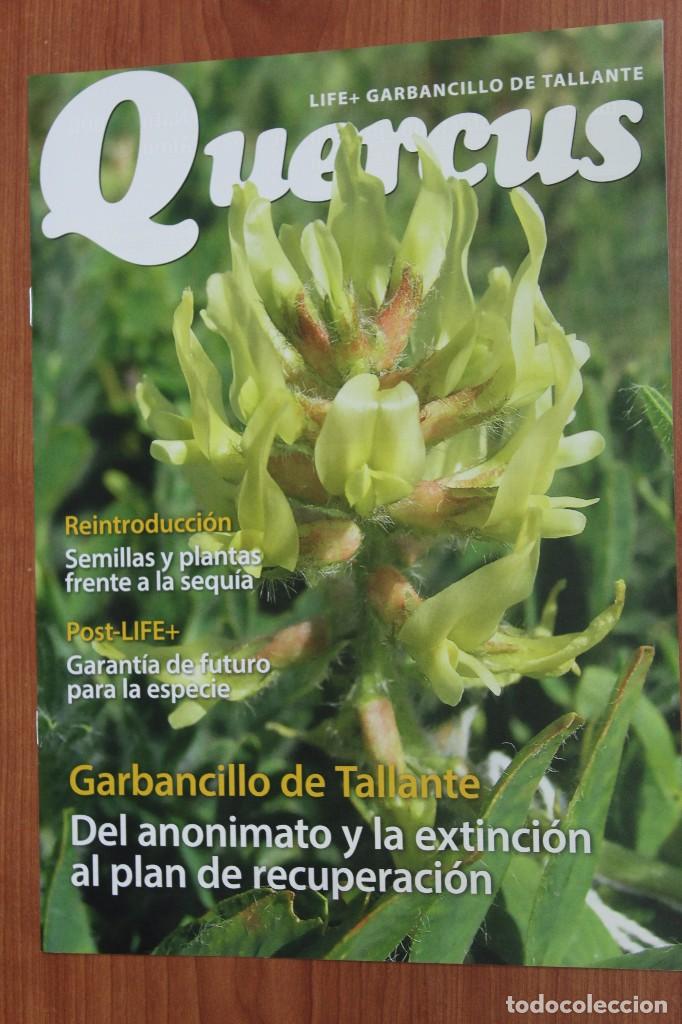 Coleccionismo de Revistas y Peri&oacute;dicos: LIFE + GARBANCILLO DE TALLANTE - SUPLEMENTO REVISTA QUERCUS N&ordm; 363 MAYO 2016