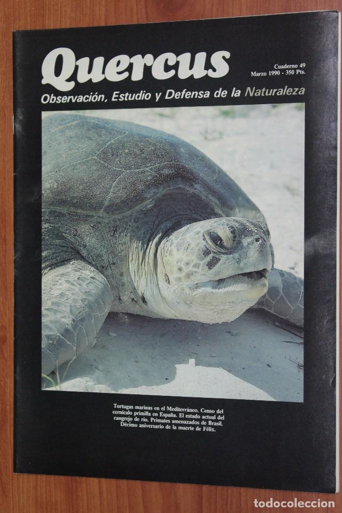 Coleccionismo de revistas y peri&oacute;dicos: REVISTA QUERCUS - CUADERNO 49 - MARZO 1990 TORTUGAS MARINAS MEDITERRANEO, PRIMATES BRASIL, CERNICALO