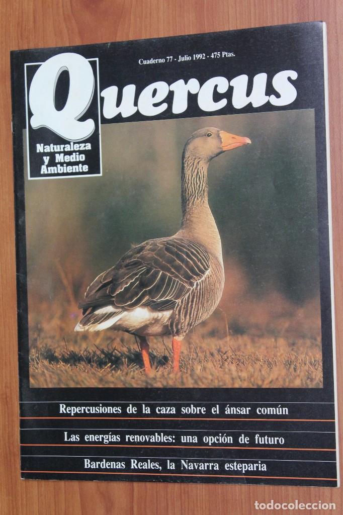 Coleccionismo de Revistas y Peri&oacute;dicos: REVISTA QUERCUS - CUADERNO 77 - JULIO 1992 ANSAR COMUN, BARDENAS REALES, NAVARRA