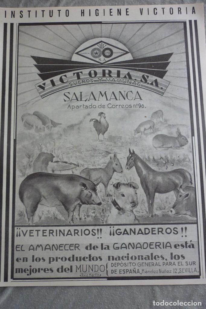 Coleccionismo de Revistas y Peri&oacute;dicos: INSTITUTO HIGIENE VICTORIA S.A. SALAMANCA. PUBLICIDAD ART&Iacute;CULO ORIGINAL. REVISTA A&Ntilde;O 1937
