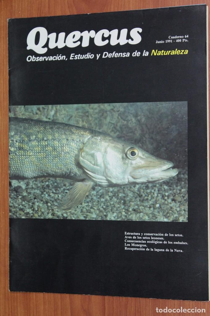 Coleccionismo de revistas y peri&oacute;dicos: REVISTA QUERCUS - CUADERNO 64 - JUNIO 1991 SETOS, EMBALSES, MONEGROS...