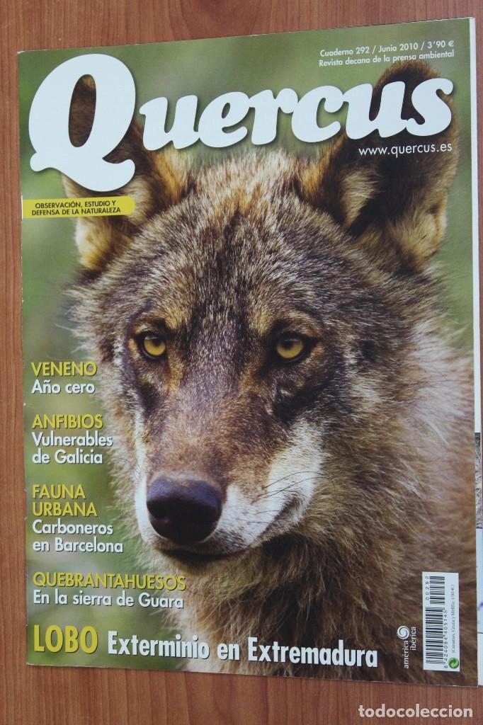 Coleccionismo de Revistas y Peri&oacute;dicos: REVISTA QUERCUS - CUADERNO 292 - JUNIO 2010 - LOBO EN EXTREMADURA, ANFIBIOS GALICIA, QUEBRANTAHUESOS