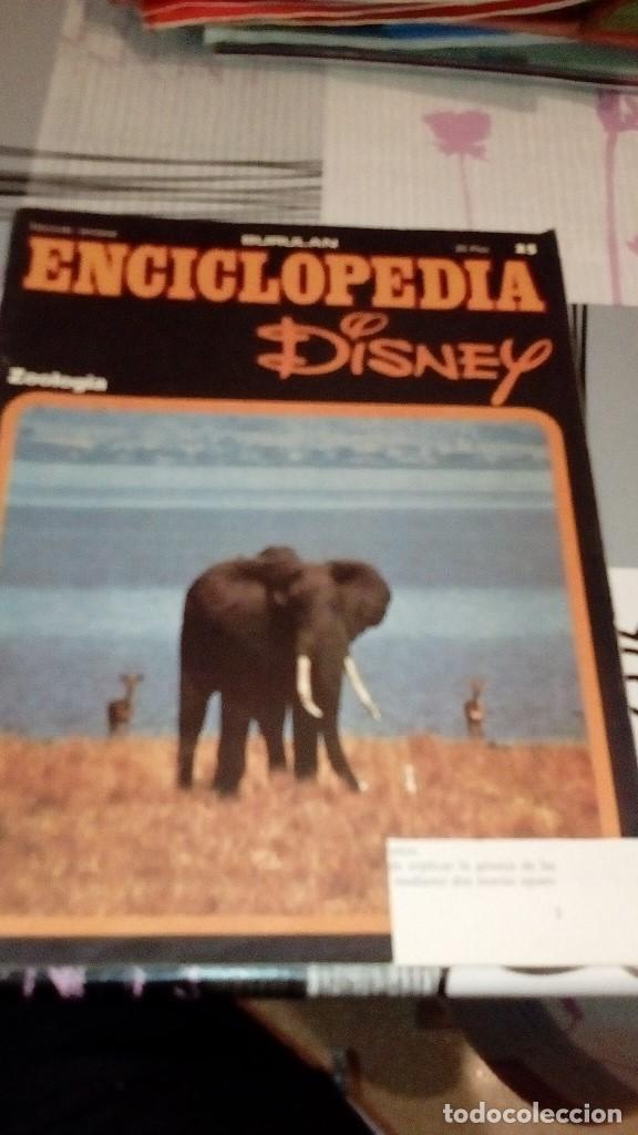 Collezionismo di Riviste e Giornali: G-27 BURULAN ENCICLOPEDIA DISNEY FASCICULO N&ordm; 25 ZOOLOGIA