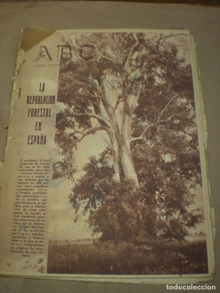Coleccionismo de revistas y peri&oacute;dicos: ABC 14 Marzo 1954