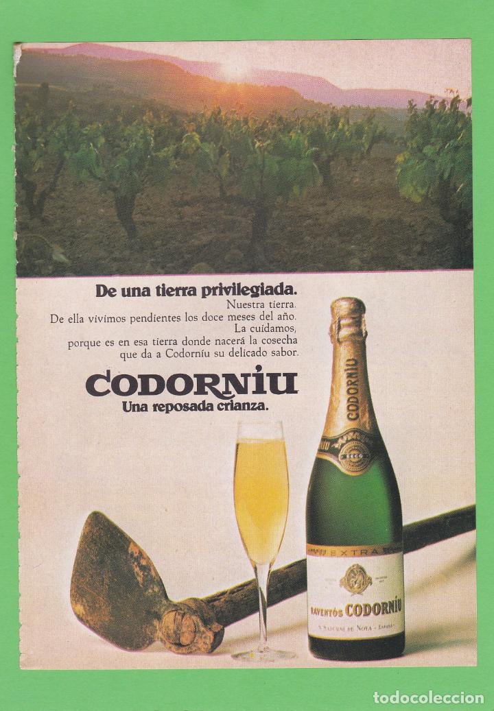 Coleccionismo de Revistas y Peri&oacute;dicos: PUBLICIDAD 1975 - ANUNCIO CAVA CODORNIU