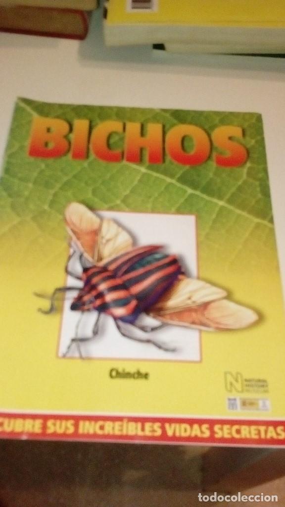 Collezionismo di Riviste e Giornali: C-G09GI FASCICULO BICHOS DE RBA CHINCHE