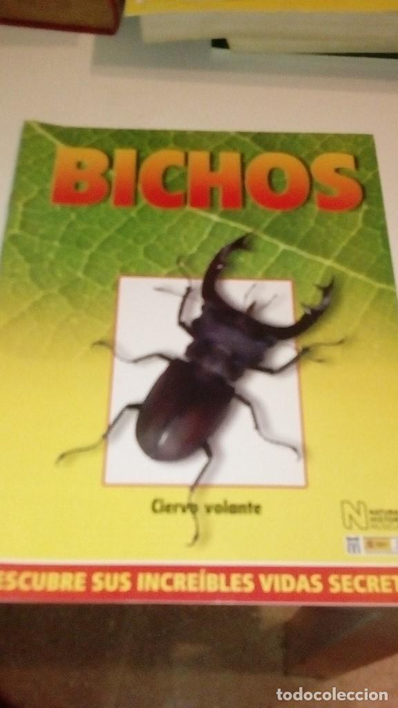 Collezionismo di Riviste e Giornali: C-G09GI FASCICULO BICHOS DE RBA CIERVO VOLANTE