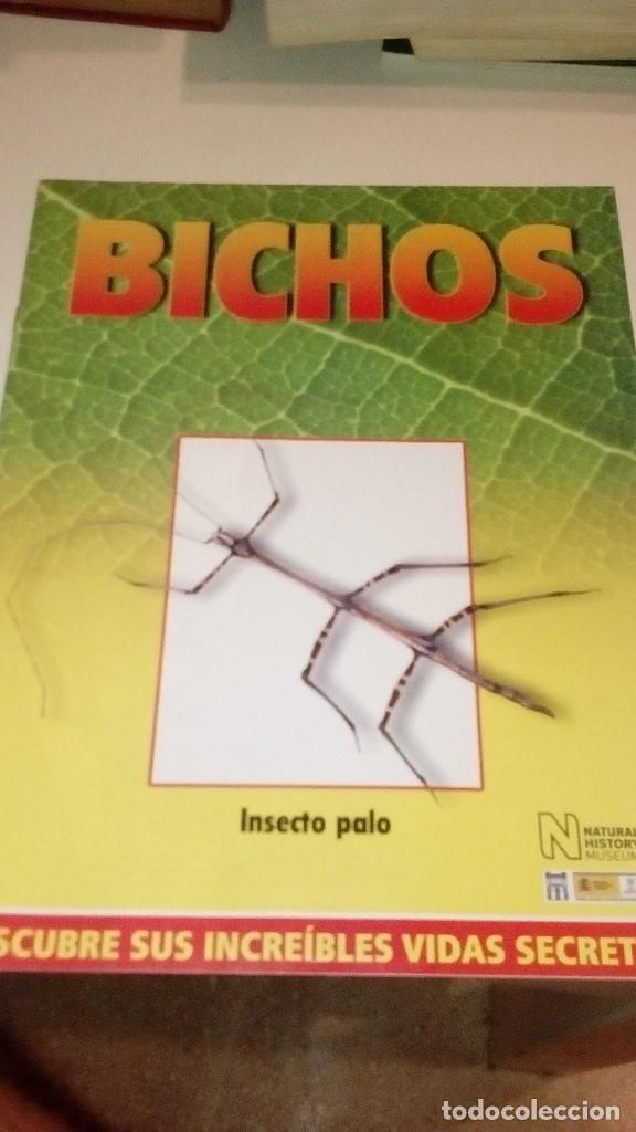 Collezionismo di Riviste e Giornali: C-G09GI FASCICULO BICHOS DE RBA INSECTO PALO
