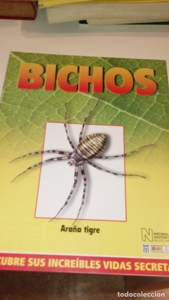 Collezionismo di Riviste e Giornali: C-G09GI FASCICULO BICHOS DE RBA ARA&Ntilde;A TIGRE
